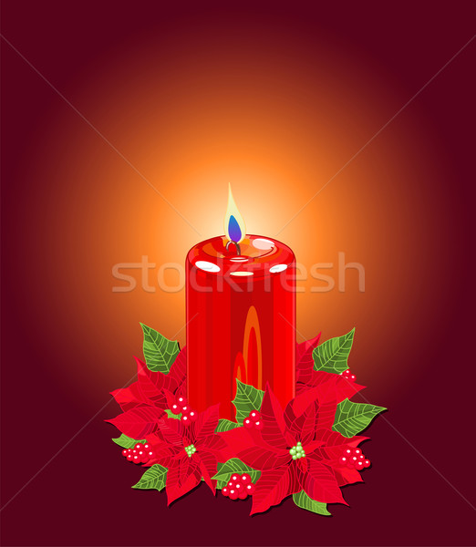 Christmas Candle with Poinsettias Stock photo © Dazdraperma
