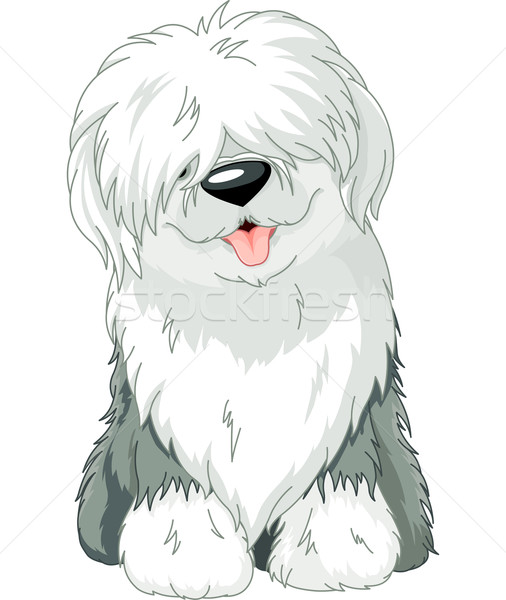 Vieux anglais chien de berger illustration séance drôle Photo stock © Dazdraperma