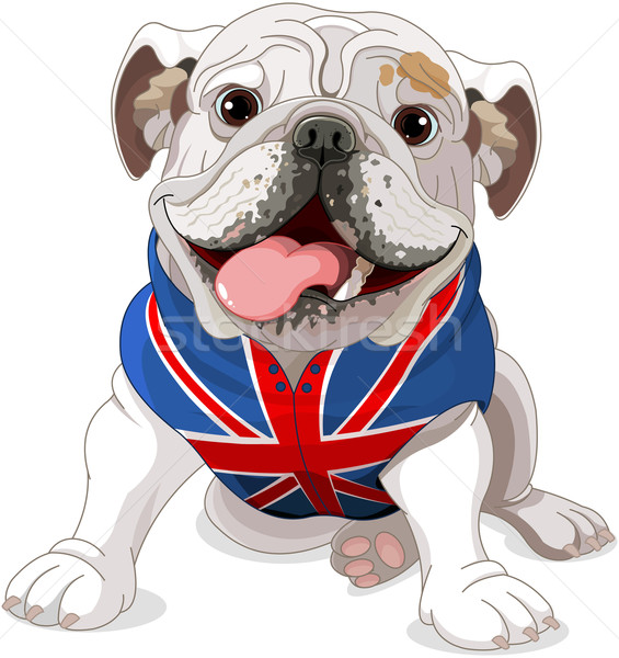 Stock foto: Englisch · Bulldogge · tragen · Mantel · Symbol