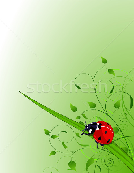 Zöld katicabogár növények tavasz erdő absztrakt Stock fotó © Dazdraperma