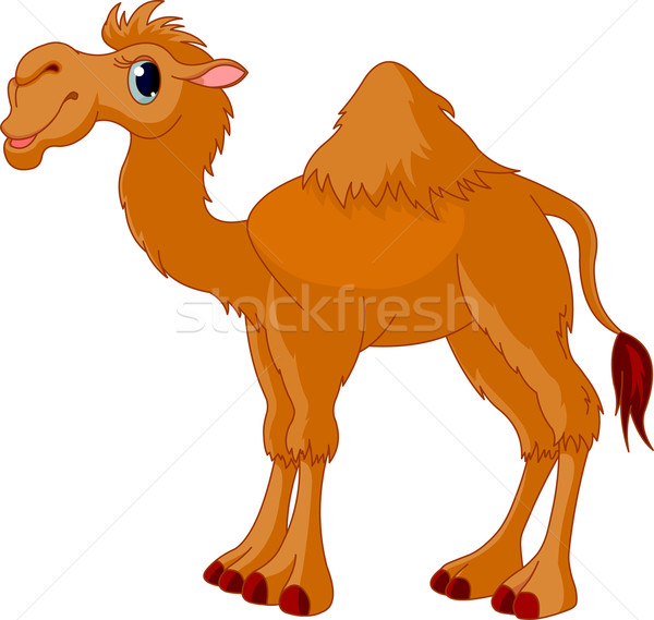 Camelo ilustração bonitinho engraçado Foto stock © Dazdraperma
