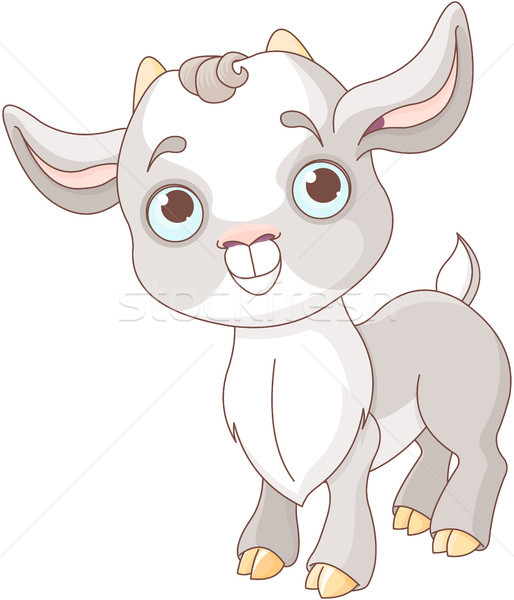 Baby Goat Stock photo © Dazdraperma