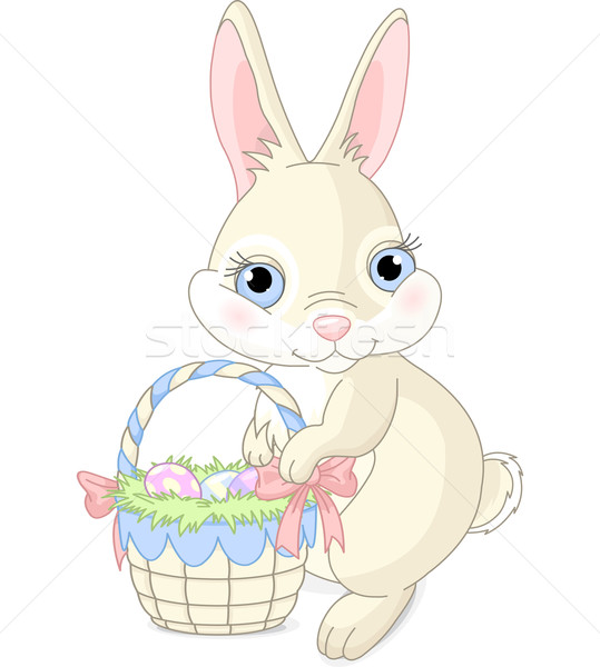 Easter Bunny vergadering paaseieren mand voorjaar gras Stockfoto © Dazdraperma