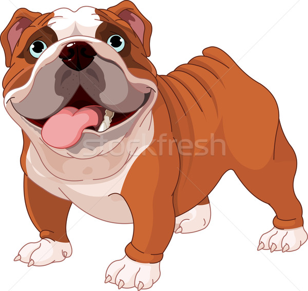 Inglés bulldog pie blanco perro Cartoon Foto stock © Dazdraperma