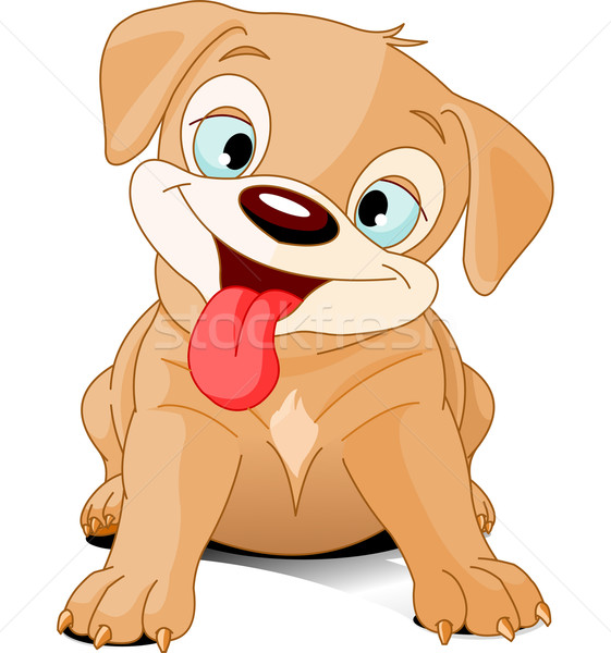 Funny Puppy Stock photo © Dazdraperma