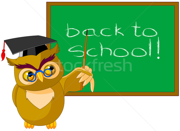 мудрый совы иллюстрация доске школы образование Сток-фото © Dazdraperma