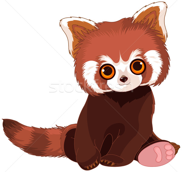 Rosso panda ritratto illustrazione cute arte Foto d'archivio © Dazdraperma