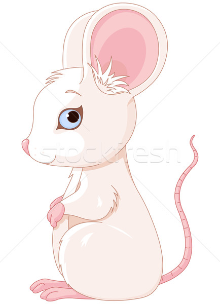 Cute Mouse Stock photo © Dazdraperma