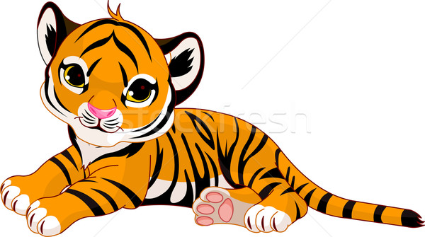 Wenig Tiger ruhend Bild Baby Stock foto © Dazdraperma