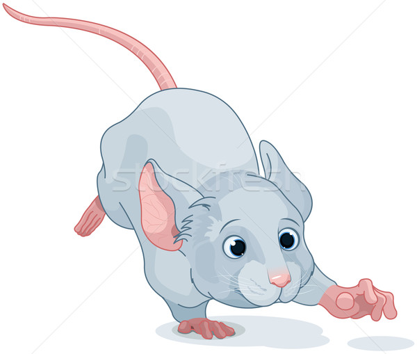 Harikalar diyarı fare örnek sevimli sanat çalıştırmak Stok fotoğraf © Dazdraperma