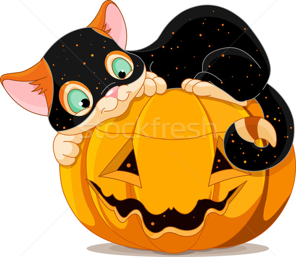 Stok fotoğraf: Halloween · kedi · yavrusu · sevimli · kostüm · mutlulukla · kabak