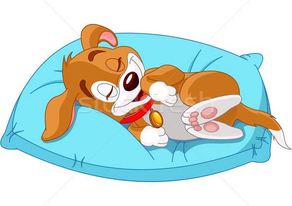 Bonitinho cãozinho mentiras travesseiro jovem cartão Foto stock © Dazdraperma