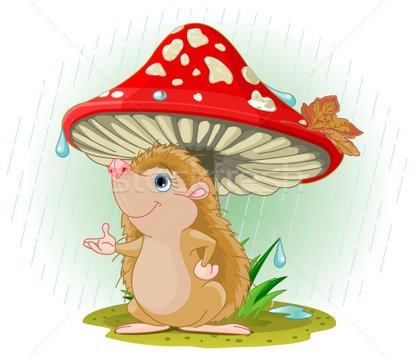 Hedgehog under Mushroom Stock photo © Dazdraperma