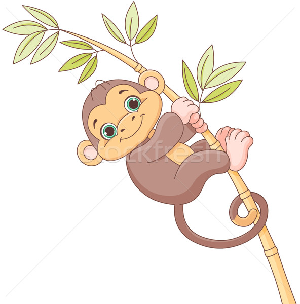 Stock photo: Baby Monkey 