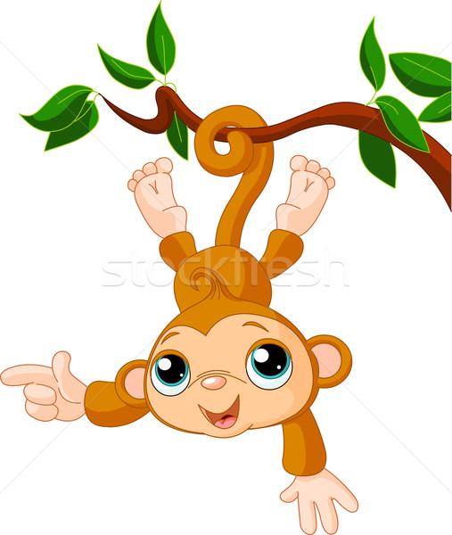 Baby monkey on a tree showing Stock photo © Dazdraperma