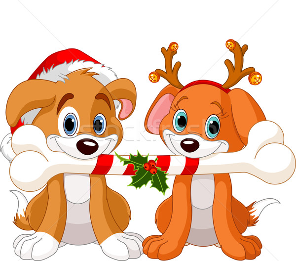 Twee christmas honden ingericht bot Stockfoto © Dazdraperma