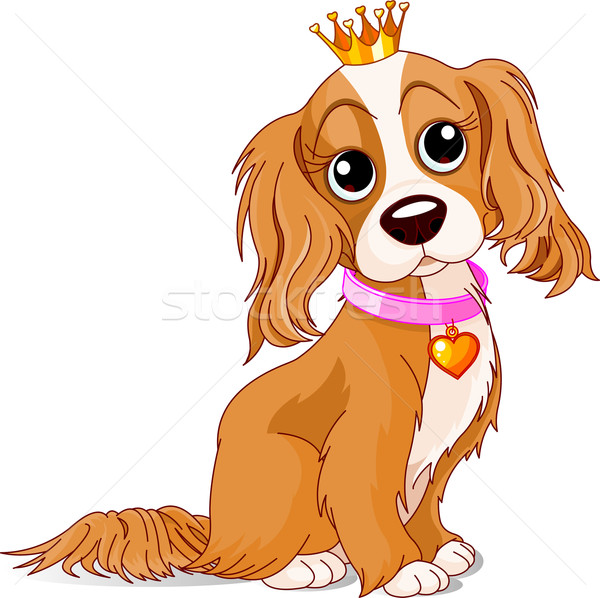 Realeza perro rey ojos Cartoon masculina Foto stock © Dazdraperma