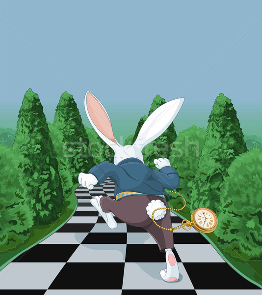 White Rabbit Running Away Stock photo © Dazdraperma