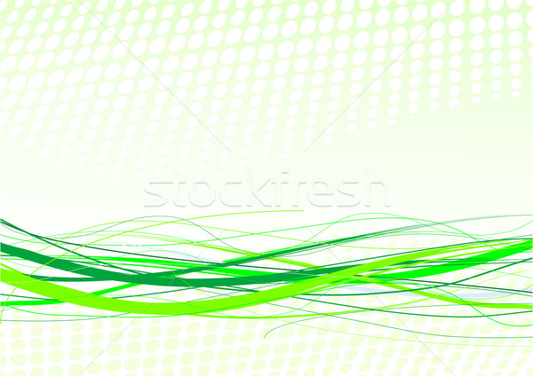 Green lines background Stock photo © Dazdraperma