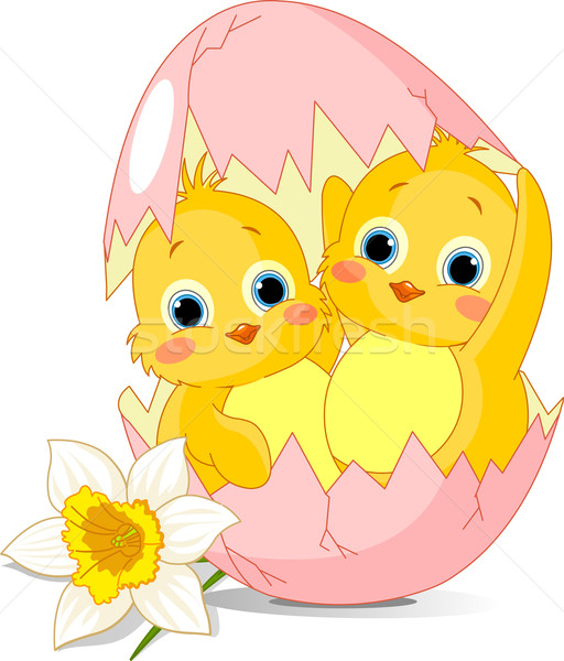 Two Easter chickens hatched from egg Stock photo © Dazdraperma
