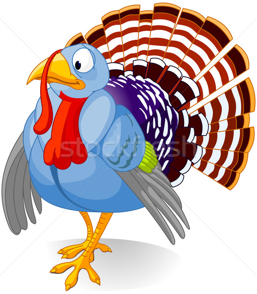 [[stock_photo]]: Cartoon · Turquie · plumage · isolé · blanche · heureux