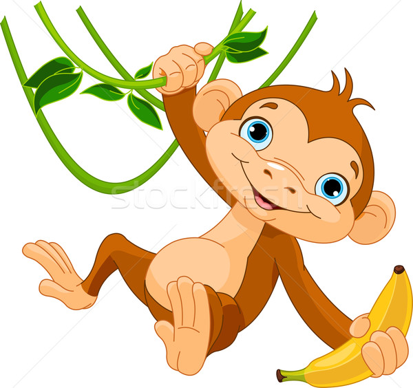 Baby monkey on a tree Stock photo © Dazdraperma