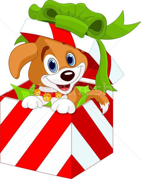 小狗 聖誕節 禮品盒 可愛 年輕 禮物 商業照片 © Dazdraperma