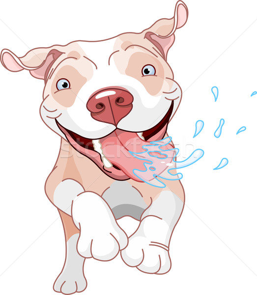 Animado touro cão corrida arte digital Foto stock © Dazdraperma