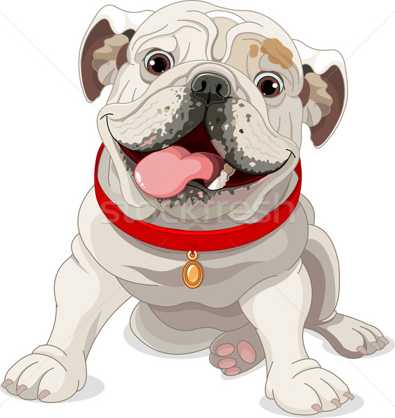 Angielski bulldog ilustracja czerwony psa zwierząt Zdjęcia stock © Dazdraperma