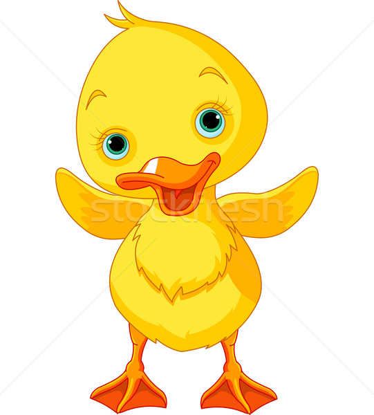 Happy Duckling Stock photo © Dazdraperma