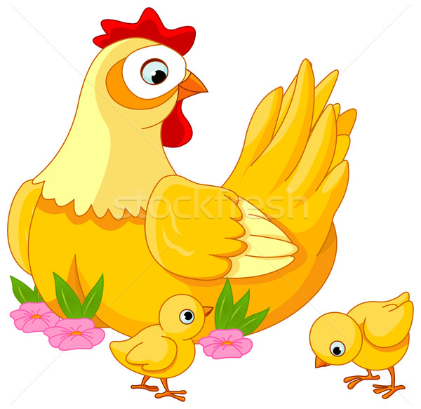 Hen and Chicks Stock photo © Dazdraperma