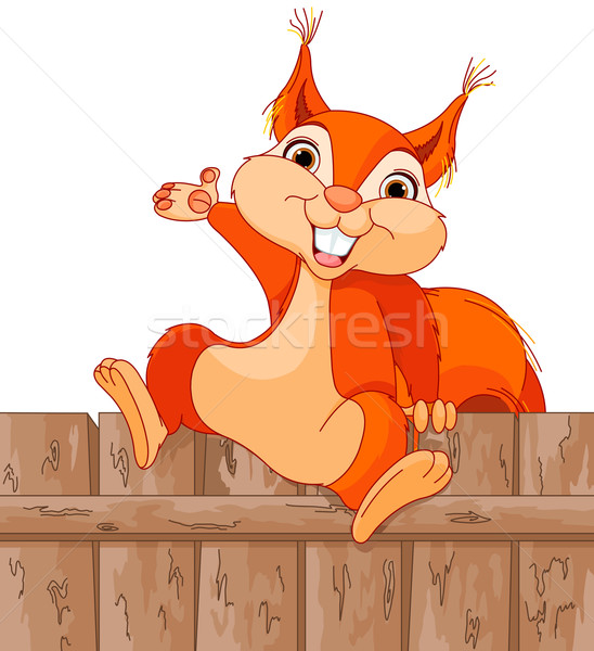 Funny squirrel Stock photo © Dazdraperma