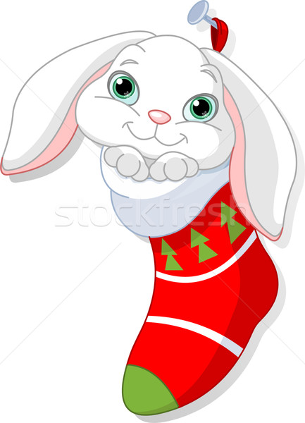 Bunny christmas sok cute witte glimlach Stockfoto © Dazdraperma