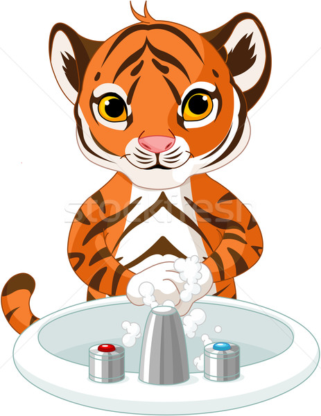 Little Tiger Washing Hands Stock photo © Dazdraperma