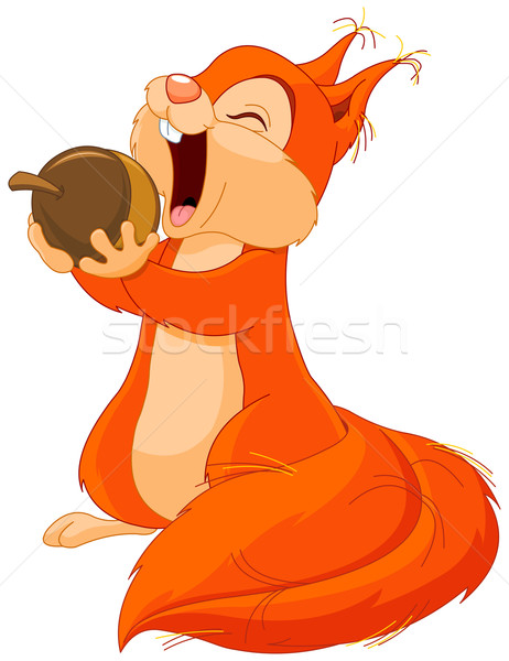 Squirrel Eats Nut Stock photo © Dazdraperma