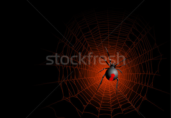 Spinnennetz Halloween Hintergrund Netzwerk Spinne Angst Stock foto © Dazdraperma