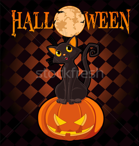 Halloween kat pompoen vergadering Stockfoto © Dazdraperma