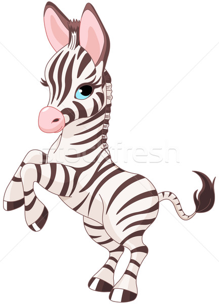 Cute baby zebra illustratie natuur schoonheid Stockfoto © Dazdraperma