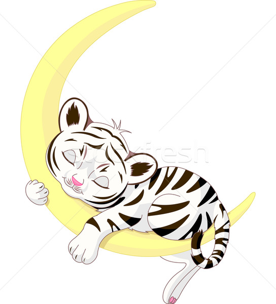 Stockfoto: Cute · witte · tijger · welp · slapen · maan