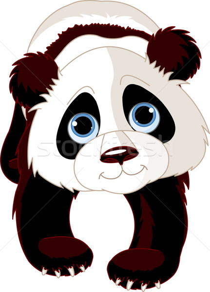 Walking Panda Stock photo © Dazdraperma