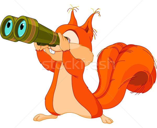 Squirrel observer Stock photo © Dazdraperma