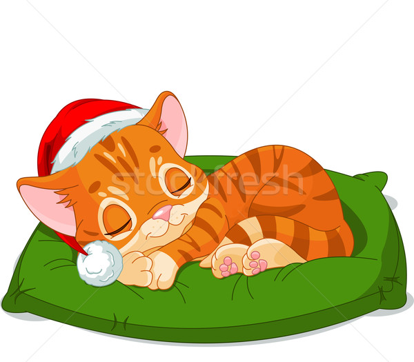 Christmas Kitten Sleeping Stock photo © Dazdraperma