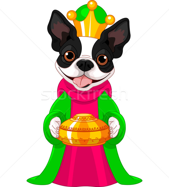 The Boston terrier as a Biblical Magi Stock photo © Dazdraperma