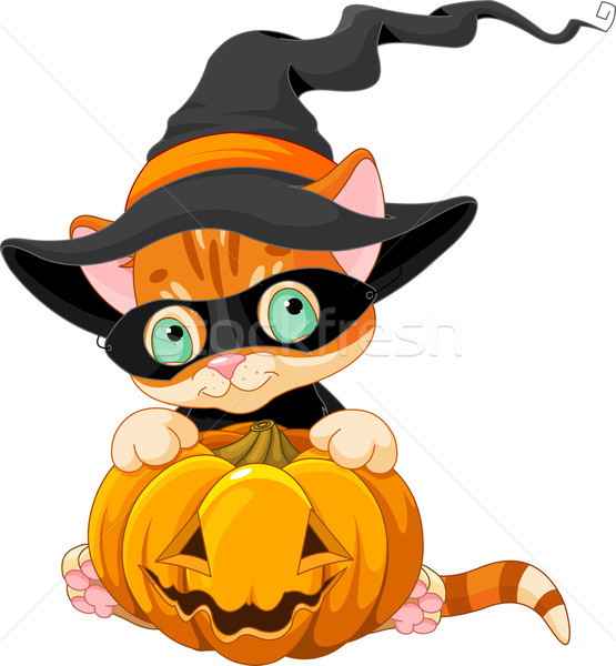 Cute halloween kitten Rood pompoen leuk Stockfoto © Dazdraperma