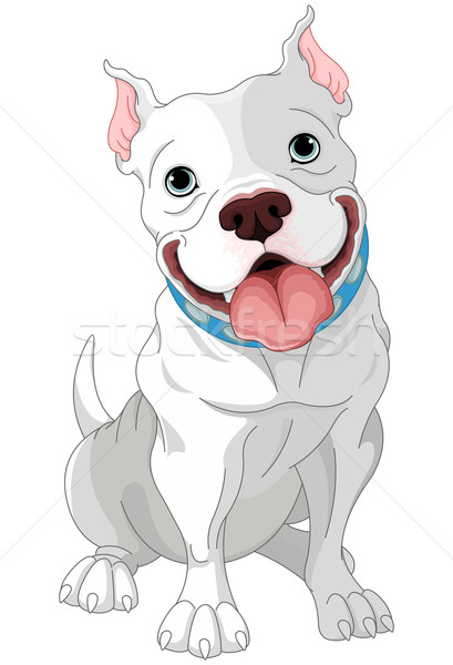 Pitbull illusztráció aranyos kutya boldog vicces Stock fotó © Dazdraperma