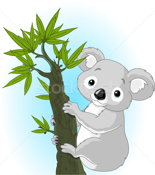 Cute Koala дерево иллюстрация молодые Cartoon Сток-фото © Dazdraperma