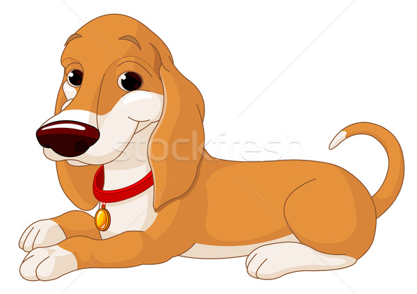 Cute lying dog Stock photo © Dazdraperma