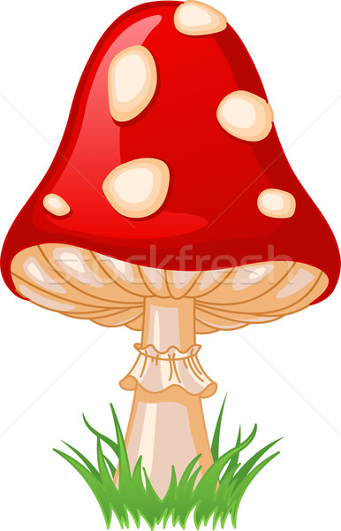 Mushroom amanita Stock photo © Dazdraperma