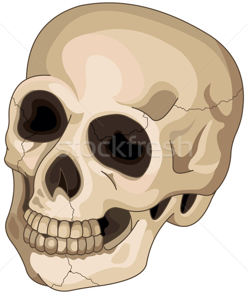 Stock photo: Halloween Skull