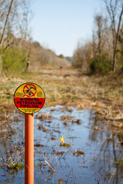 Petroleum Pipeline Easement in Wetlands Stock photo © dbvirago